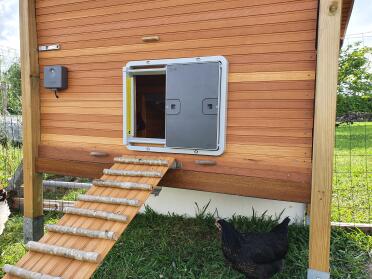 Omlet Grey Automatic Chicken Coop Door Attached to Wooden Chicken Coop