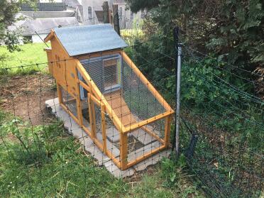 Wooden Chicken Coop surrounded by Omlet Chicken Fencing