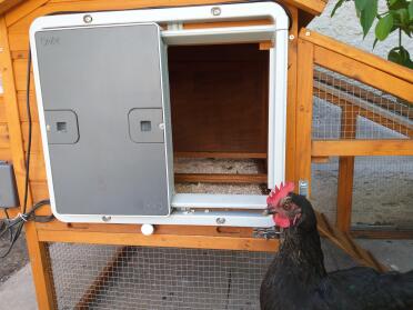 A wooden chicken coop plus automatic door opener.