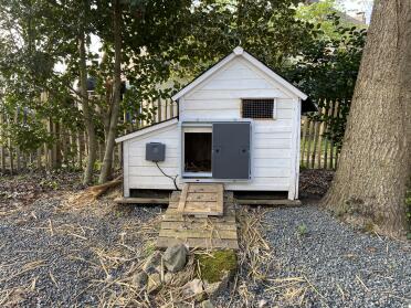 What a lovely home for a hen!