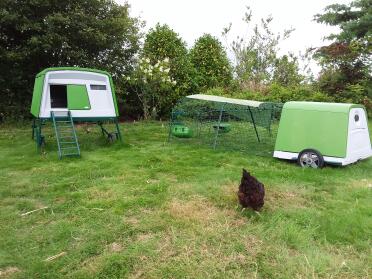 Chicken coop