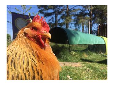 A proud Omlet Ambassador!