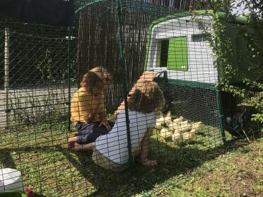 Hen house Eglu Cube in chick mode