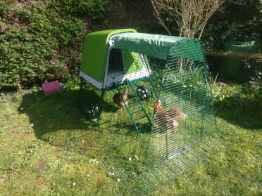 The plastic surfaces of the coop make it easy to clean