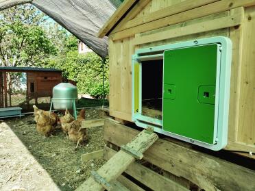 The door is installed and operational