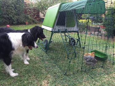 Sally und violet in ihrem neuen zuhause