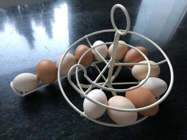 Hühner legen viele eier!