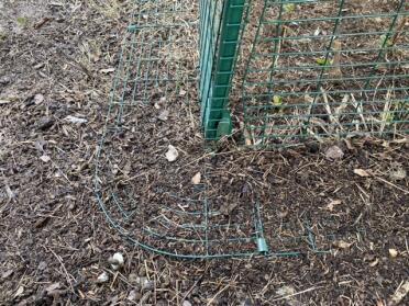Security of the fox and weasel enclosure