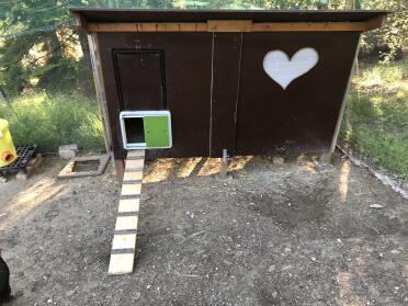 Omlet Green Automatic Chicken Coop attached to Wooden Chicken Coop