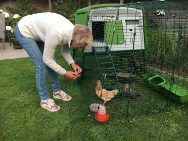 Feast on the mealworms!