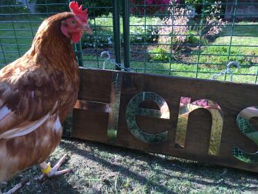 Doris mit ihrem gelben spiralbeinring!