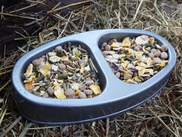 Kaninchen lieben dieses futter