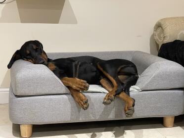 Kelly loves her new bed 