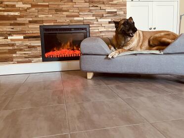 A cosy place for your pet