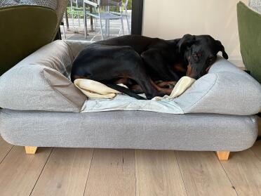 Dogs love to relax on the comfortable bolster bed range.