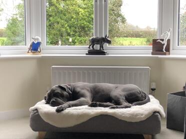 Deep sleep