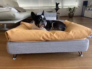 A large bed for extra space