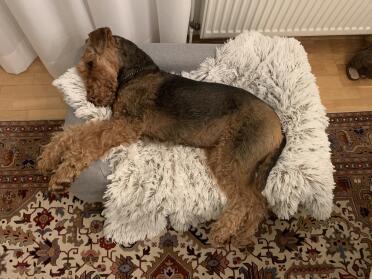 The bed is very comfortable