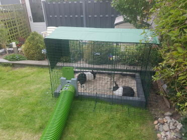 Protect your rabbits from extreme weather