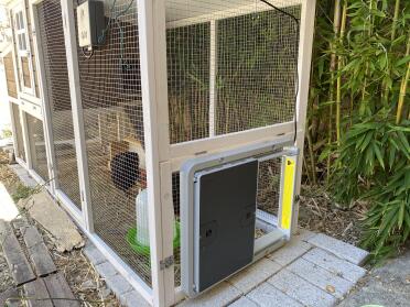 An Omlet automatic door opener - installed on a chicken run.