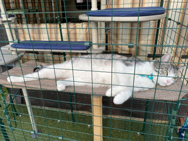Completely relaxed