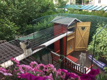 Eine oase der ruhe für unsere katzen