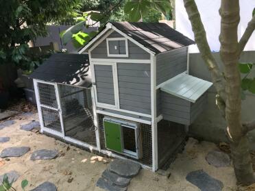 A restored and well-equipped henhouse!