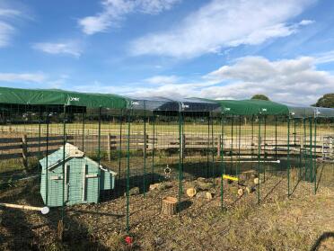 Infinite possibilities of creating spaces for your chickens