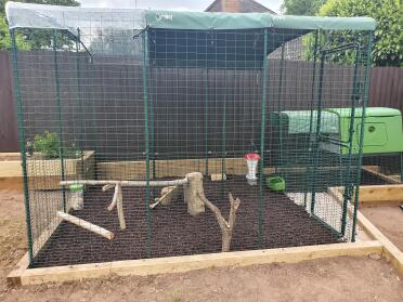 You can create a playground for your chickens