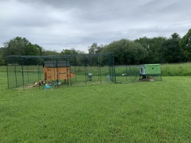 The chickens love the space of their new run