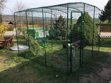 What a lovely home for these hens!