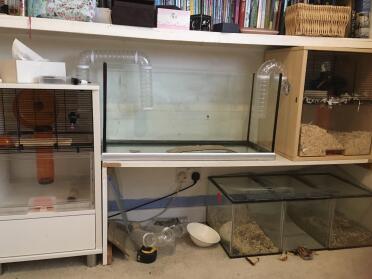 My huge gerbilarium, ready for some gerbils!!!