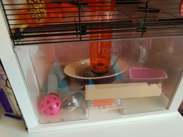 Spielzeit und ein staubbad, bevor neues bettzeug Goes in