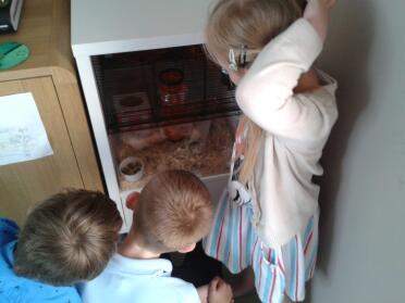 Die kinder beobachten unsere rennmäuse im Qute