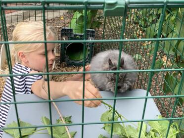 A fun way for children to take care of their pets