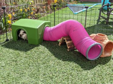 Ramp it up!