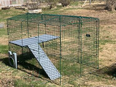 Almost ready for the rabbits