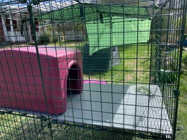 A 3D playground for your rabbits