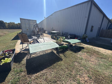 Rabbit wonderland! Peeta and Primrose absolutely love their outside play yard! Two single height connected to a double height. Double platform with two green houses that they absolutely love!! 