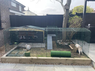 Very happy with our bespoke set up!