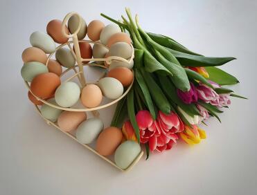Omlet egg skelter in cream with eggs
