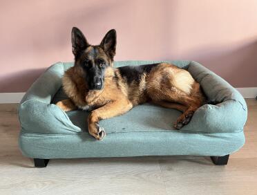 The memory foam mattress provides lots of comfort