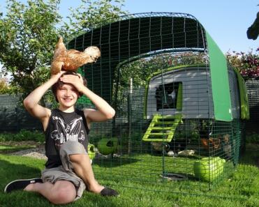 Huhn auf mädchenkopf mit Eglu Cube im hintergrund