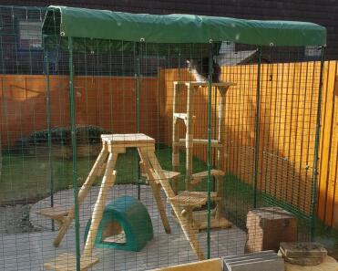 Our Maine coons love their omlet cat run. Cant get them to come back in.
