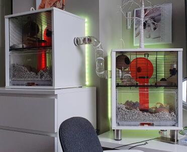 Two Omlet white Qute hamster cages