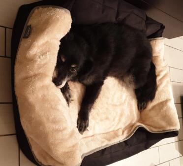 The blanket is so comfortable