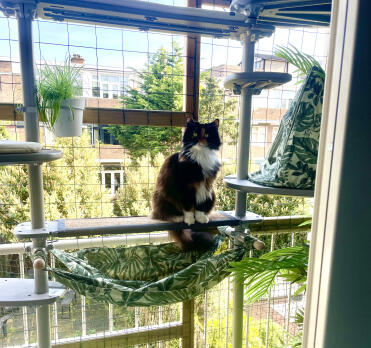 Pont fonctionnel, idéal pour les ongles, très esthétique aussi. 