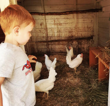Child with chickens