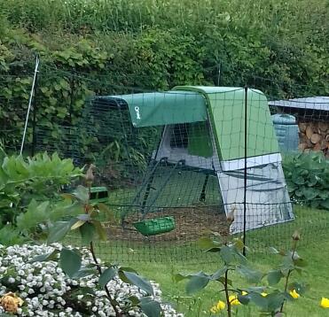 Meine schöne Eglu Go up 