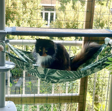 Observer les oiseaux depuis le hamac sur le balcon